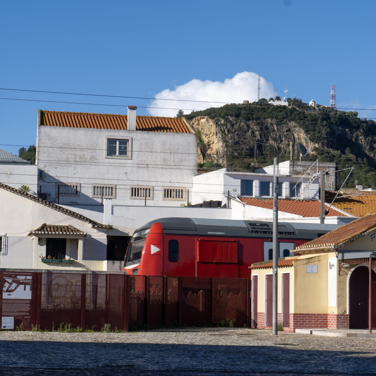169-DSC00963