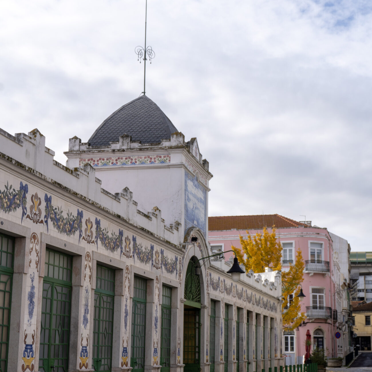 30-DSC09700